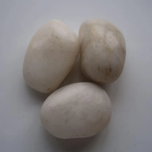 Natūralūs akmenukai