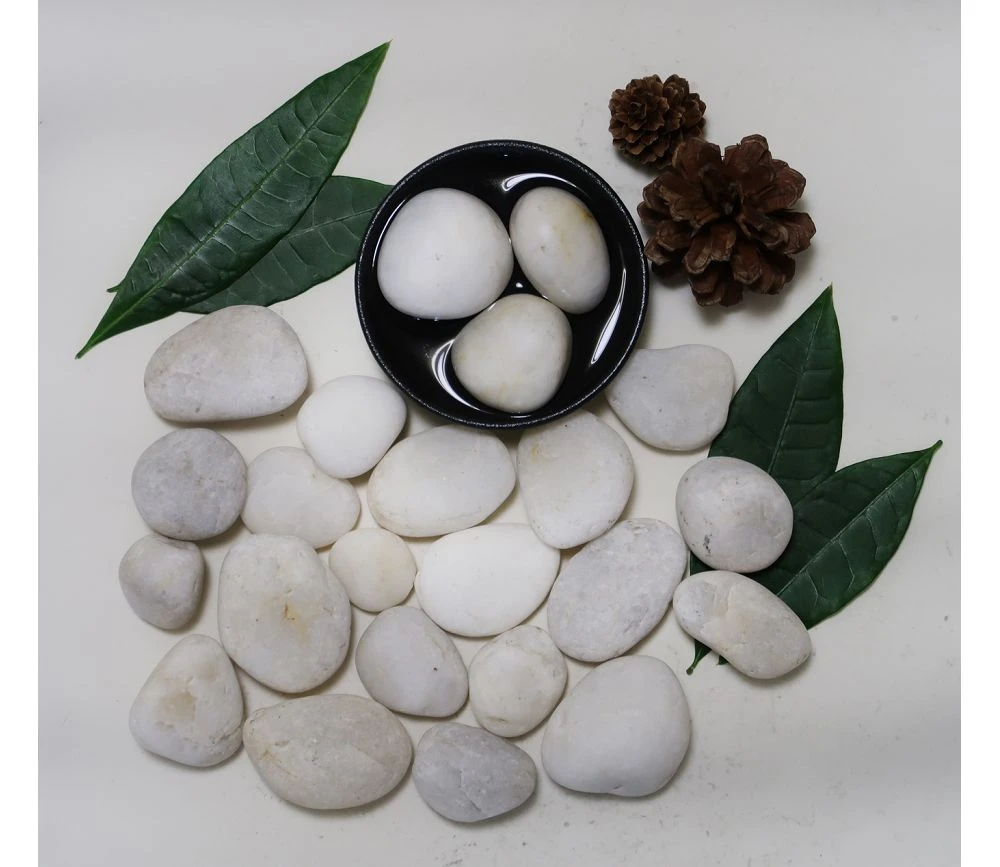 product-1000-867 product-1000-867